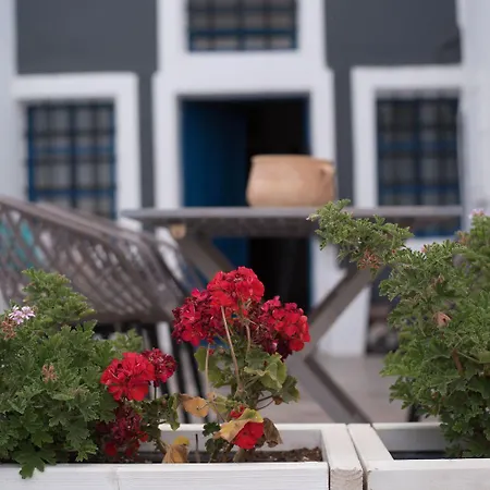 Mardanza House